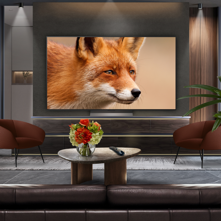 LG OLED evo 65 inch 4K Ultra HD Smart TV