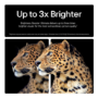 LG OLED evo 65 inch 4K Ultra HD Smart TV