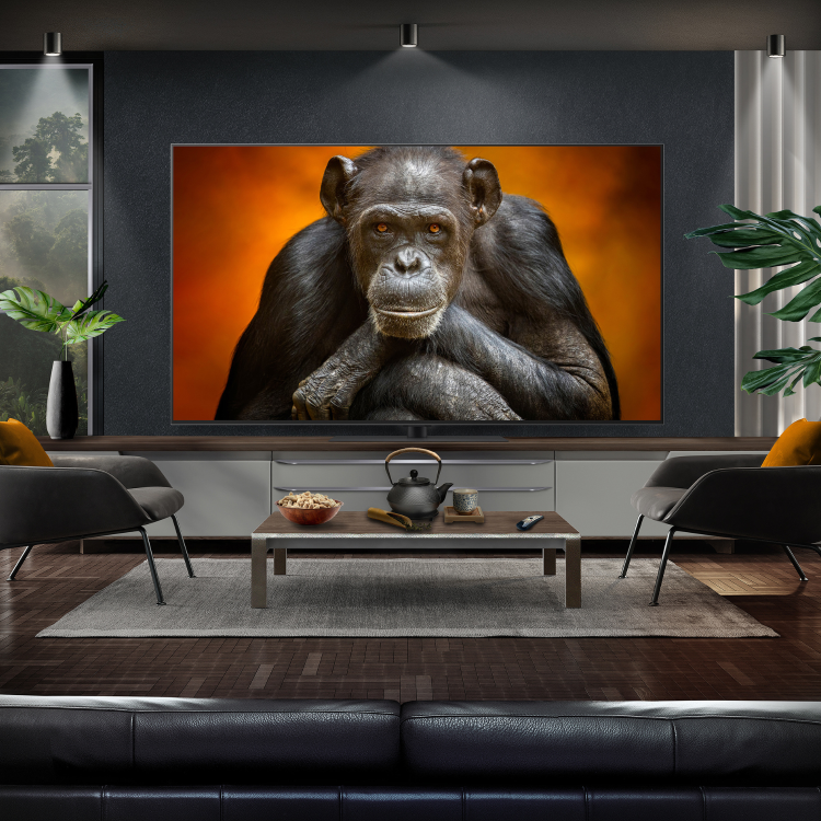 LG OLED evo 65 inch 4K Ultra HD Smart TV