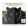 LG OLED65G66LS 65 Inch OLED evo AI G6 4K Smart TV – 165Hz Gaming Dolby Vision & Brightness Booster Ultra