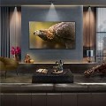 LG G4 55 inch OLED evo AI 4K HDR Smart TV