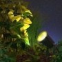 Innr Smart Outdoor Spot Light 230lm single spot