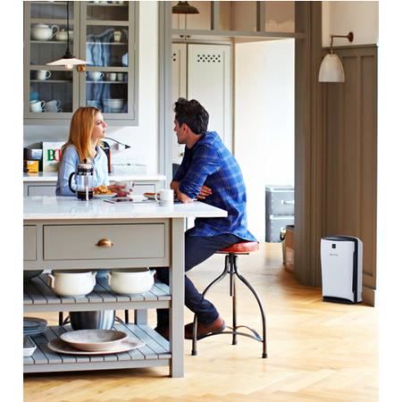 Boneco P340 Air Purifier with HEPA Filter and Integrated Ionizer - Great for Rooms up to 40sqm