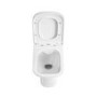 GRADE A1 - Back to Wall Rimless Toilet with Soft Close Seat - Palma