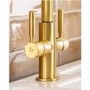 Abode Hemista Dual Lever Slimline 3 in 1 Boiling Water Tap - Brushed Brass