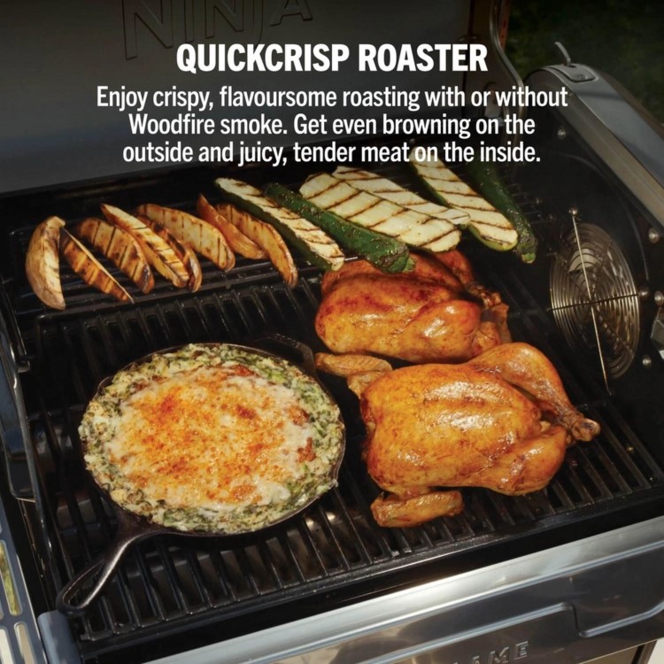 Ninja FlexFlame Gas BBQ & Outdoor Cooking System PG301UK - Black/Silver