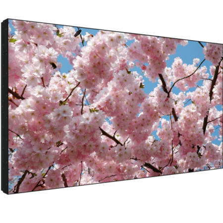 Sharp PNV601 60 Inch LED Display