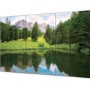 Sharp PNV601 60 Inch LED Display