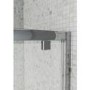 Claritas 6 Pivot Shower Door 900mm Wide - 6mm Glass