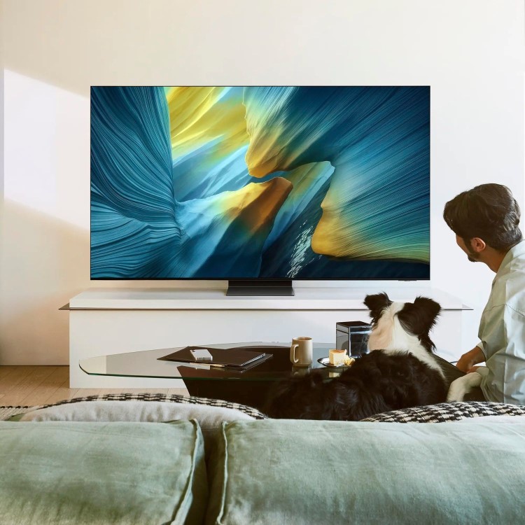 Samsung S95F 83 inch 4K OLED Smart AI TV