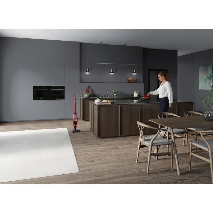 AEG QX6 2-in-1 Animal Cordless Vacuum Cleaner