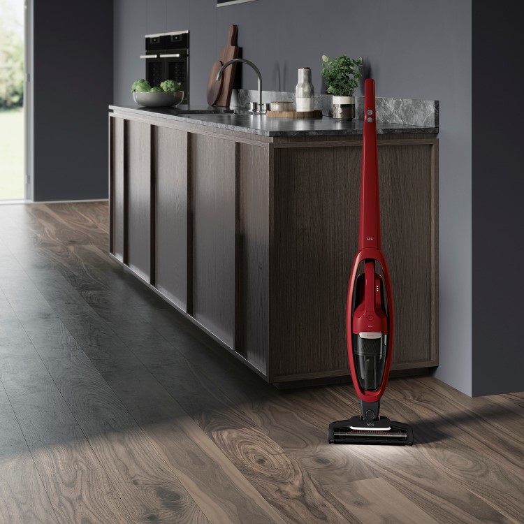 AEG QX6 2-in-1 Animal Cordless Vacuum Cleaner