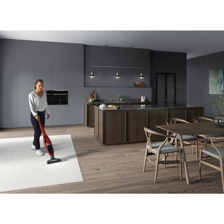 AEG QX6 2-in-1 Animal Cordless Vacuum Cleaner