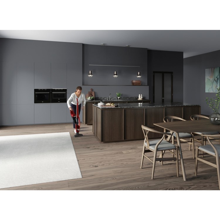 AEG QX6 2-in-1 Animal Cordless Vacuum Cleaner