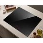 Elica 60cm 4 Zone Induction Hob 