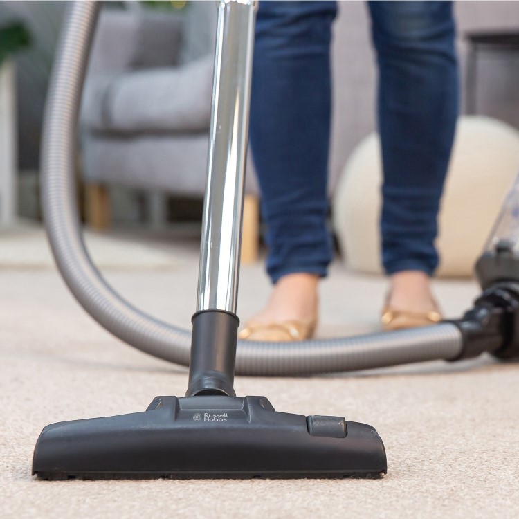 Russell Hobbs RHCV4601 Titan 2 Pet Cylinder Vacuum Cleaner