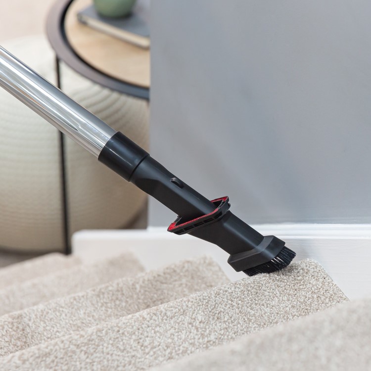 Russell Hobbs RHCV4601 Titan 2 Pet Cylinder Vacuum Cleaner