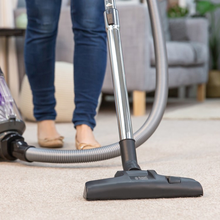 Russell Hobbs RHCV4601 Titan 2 Pet Cylinder Vacuum Cleaner