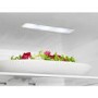 Refurbished Hisense RL423N4AC11 Freestanding 320 Litre Frost Free Fridge