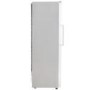 Hisense RL475N4AS1 Freestanding Tall Larder Fridge