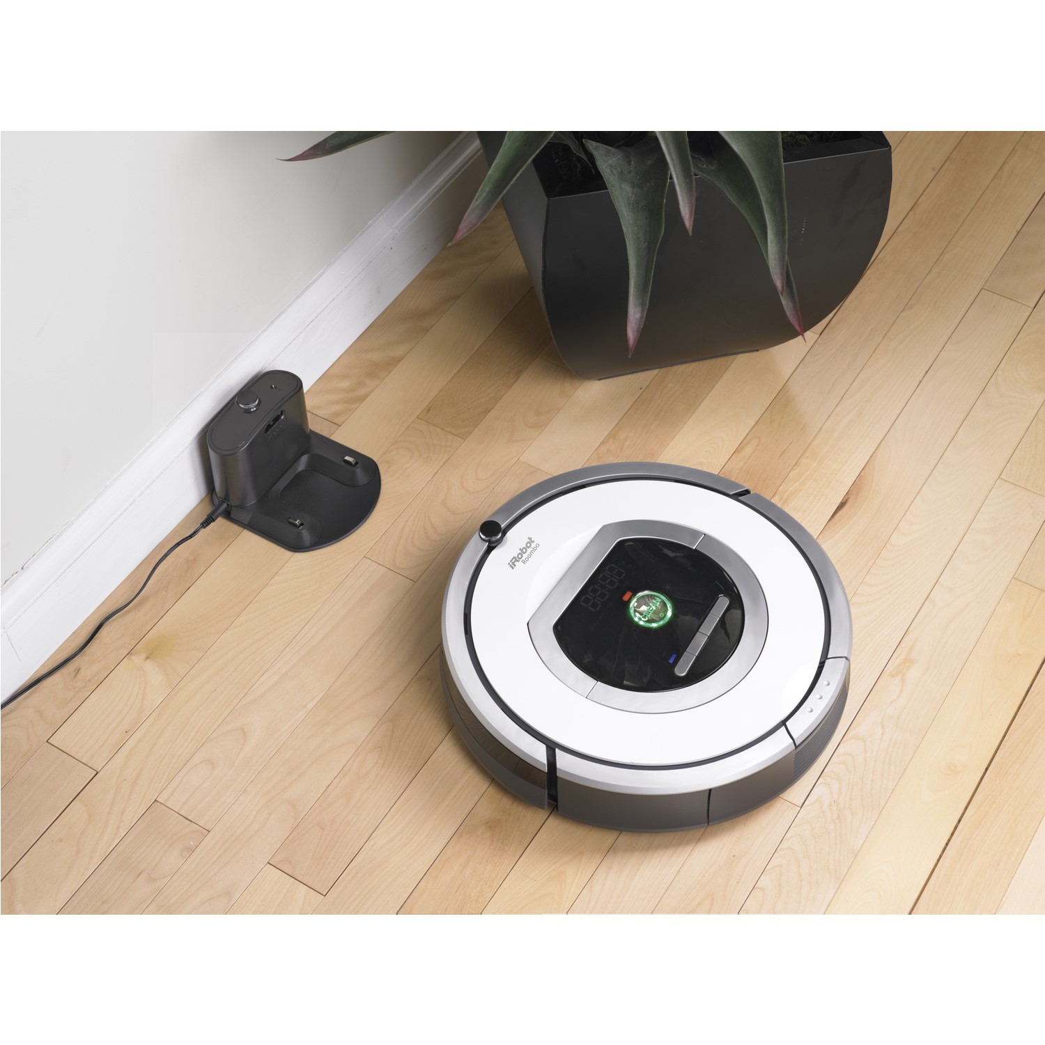 homemade cat urine remover