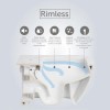 Close Coupled Rimless Toilet with Soft Close Seat - RAK Resort Maxi