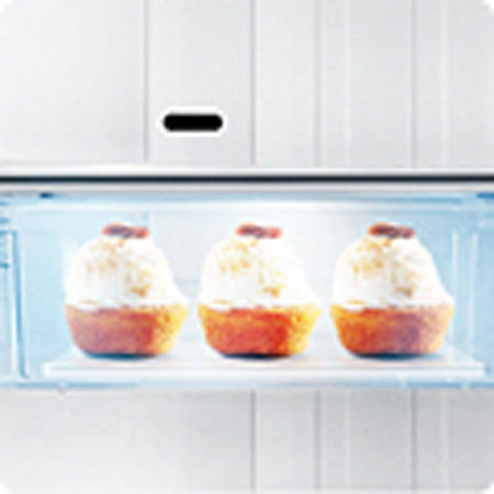 Samsung RZ28H61657F Freestanding Upright Freezer Stainless Steel