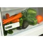 Hotpoint 363 Litre Freestanding Fridge - Graphite