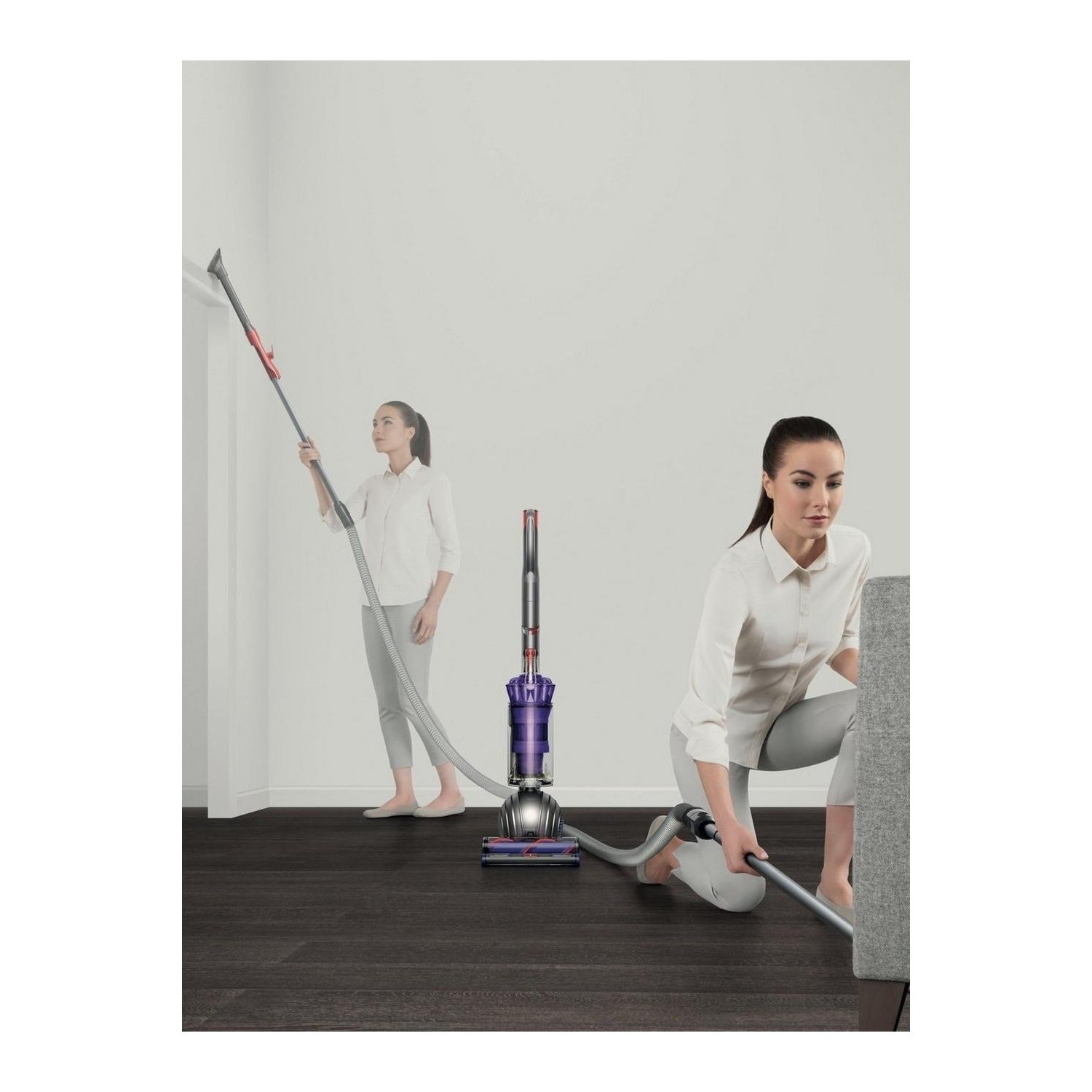 Dyson Small Ball Animal 2 Upright Vacuum Cleaner Titanium Purple Smballanimal2 Appliances Direct