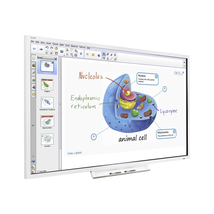 Smart Board SPNL-4084 84&quot; 4K Ultra HD Interactive Touchscreen Display