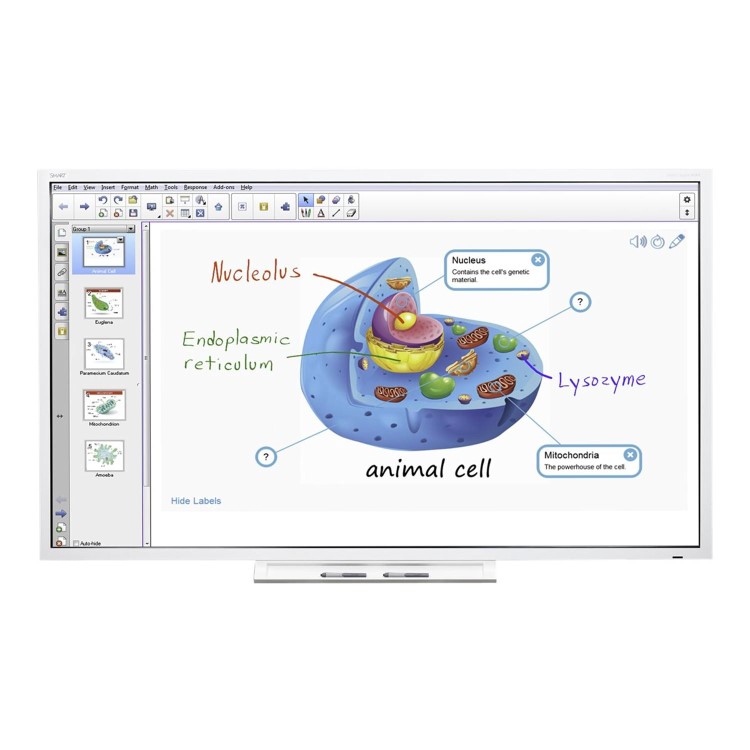 Smart Board SPNL-4084 84&quot; 4K Ultra HD Interactive Touchscreen Display