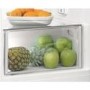 Whirlpool 368 Litre Freestanding Larder Fridge - Optic Inox
