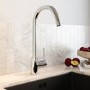 Chrome Single Lever Monobloc kitchen Mixer Tap - Enza Tamara