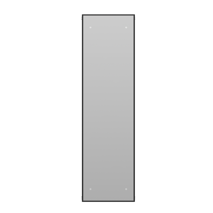 Black Vertical Single Panel Mirrored Radiator 1600 x 452mm - Tanami