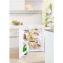 Liebherr 156 Litre Freestanding Larder Fridge - White