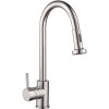 Reginox Chrome Kitchen Mixer Tap with Pull Out Rinse Spray - Tanaro CH