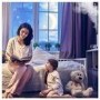Boneco Ultrasonic Humidifier U350
