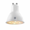 Hive Active Light Dimmable Bulb with GU10 Spotlight Ending