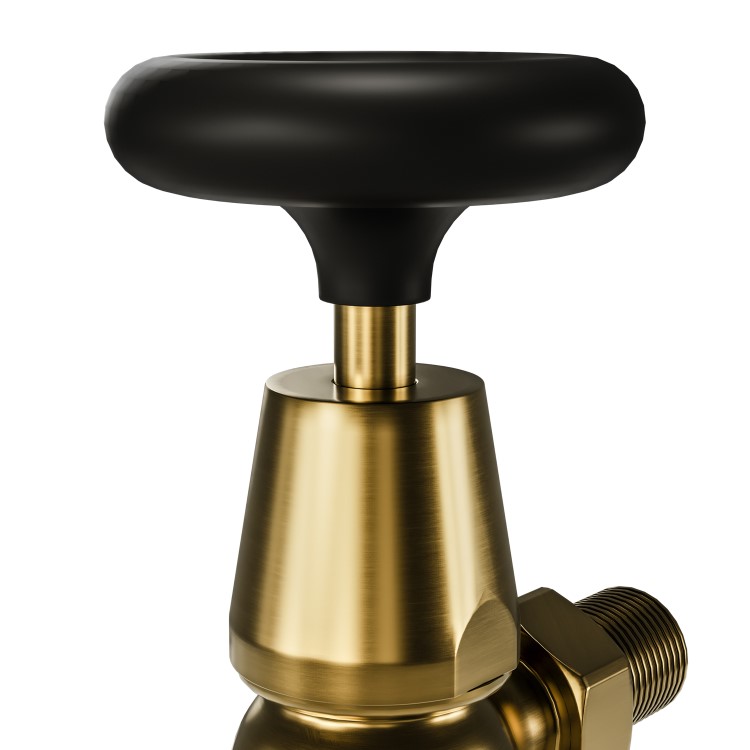 Brass & Black Traditional Angled Radiator Valves - Regent