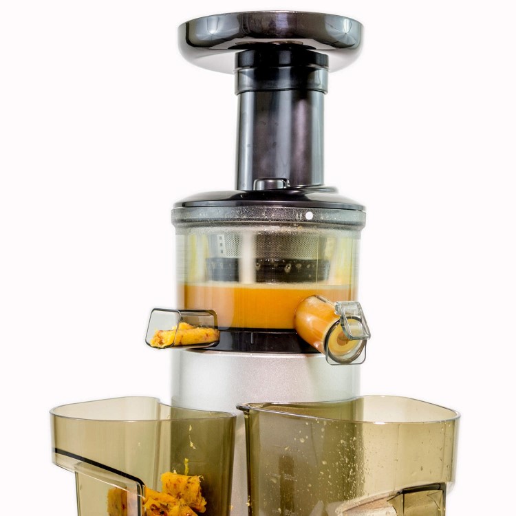 GRADE A1 - ElectriQ Premium Cold Pressed Vertical Slow Juicer and Smoothie Maker - BPA Free