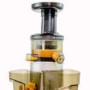 GRADE A1 - ElectriQ Premium Cold Pressed Vertical Slow Juicer and Smoothie Maker - BPA Free