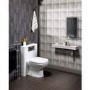 Polymarble Back to Wall WC Toilet Unit - Without Toilet - W500 x H790mm