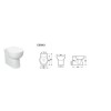 Anise Back to Wall Toilet with Soft Close Seat