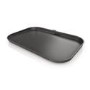 Ninja Woodfire XL Flat Plate