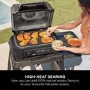 Ninja Woodfire XL Flat Plate