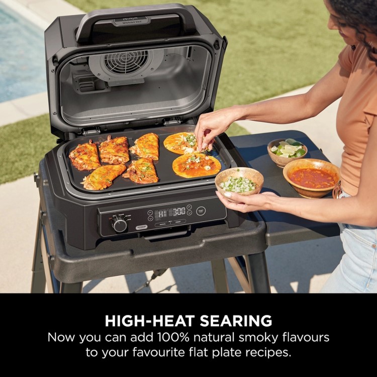 Ninja Woodfire XL Flat Plate