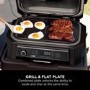 Ninja Woodfire XL Electric BBQ Grill & Flat Plate