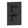 Black 1 Outlet Concealed Thermostatic Shower Valve with Dual Control - Zana