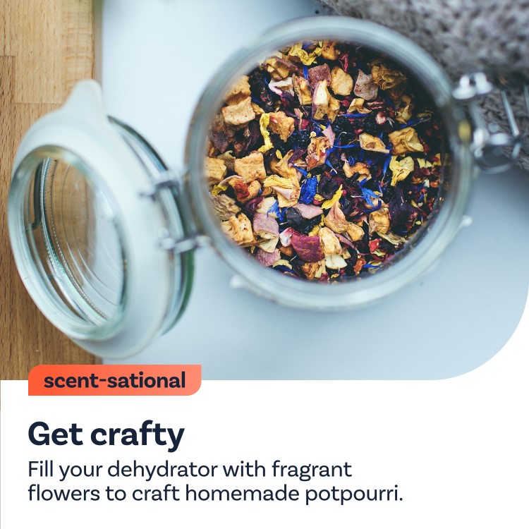 Refurbished electriQ Commercial Style Digital Food Dehydrator & Dryer with 10 Shelves and 48 Hour Timer