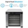Refurbished electriQ eqddss Digital Food Dehydrator & Dryer with 6 Shelves and 48 Hour Timer Stainless Steel